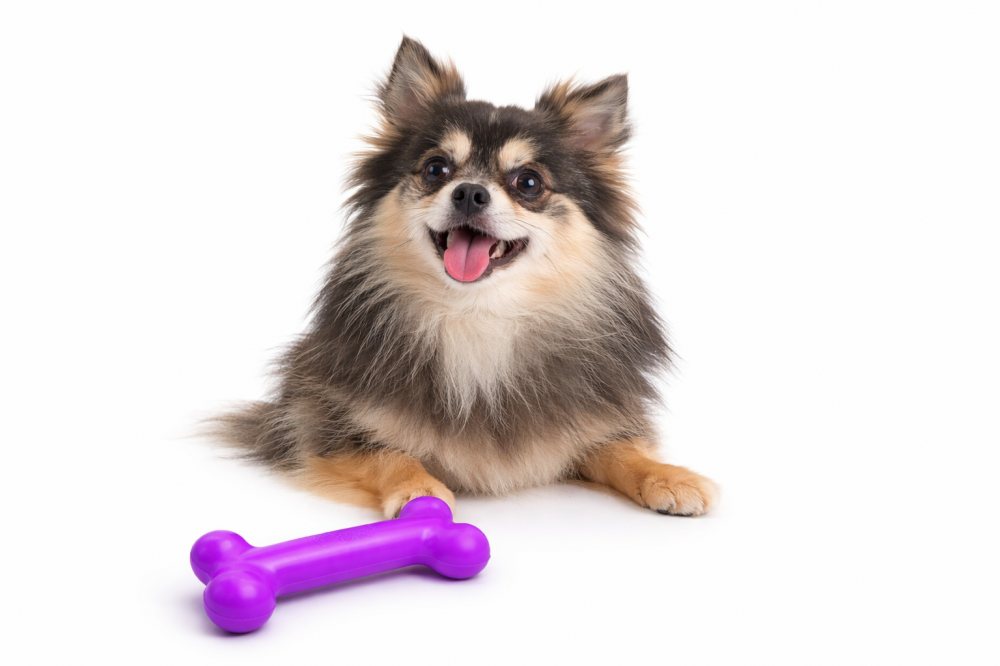 PUchew lila/Leberwurst Größe S