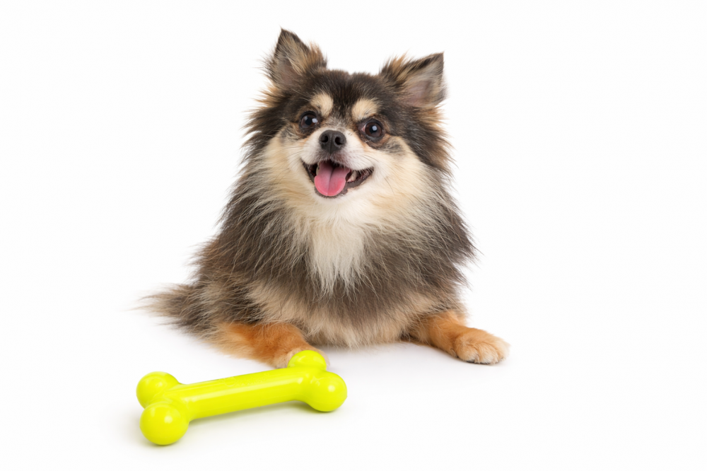 PUchew gelb/Parmesan Größe S