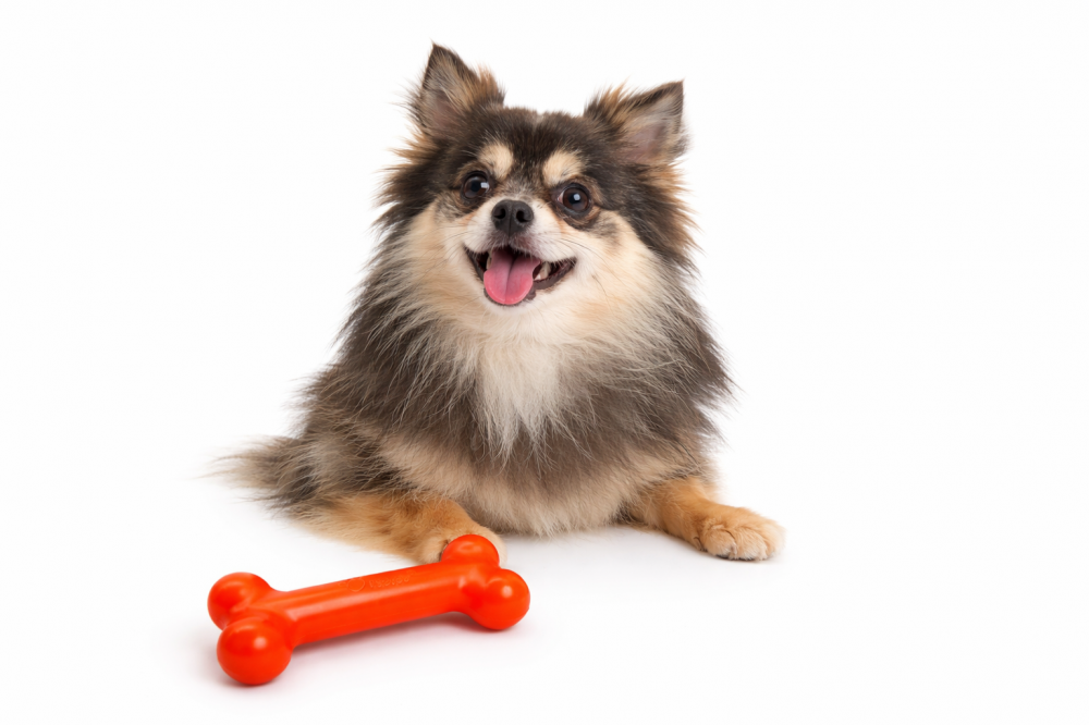 PUchew Orange/Hähnchen Größe S