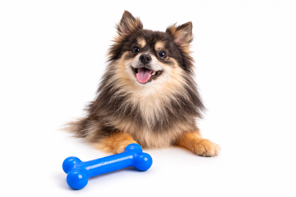 PUchew blau/Bacon Größe S